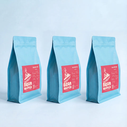 Drei Packungen Beanwatch Finca Hoyo Frío Espresso schräg von der Seite