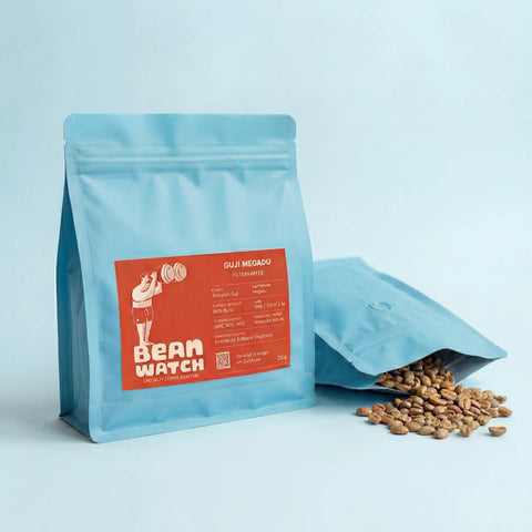 Beanwatch Guji Megadu Filterkaffee mit Kaffeebohnen