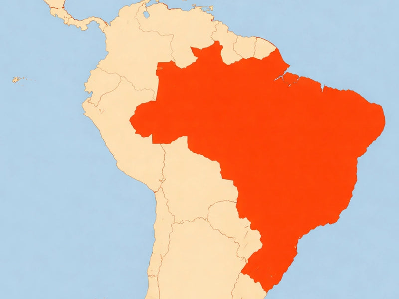 Kontextkarte von Brasilien mit den Umländern