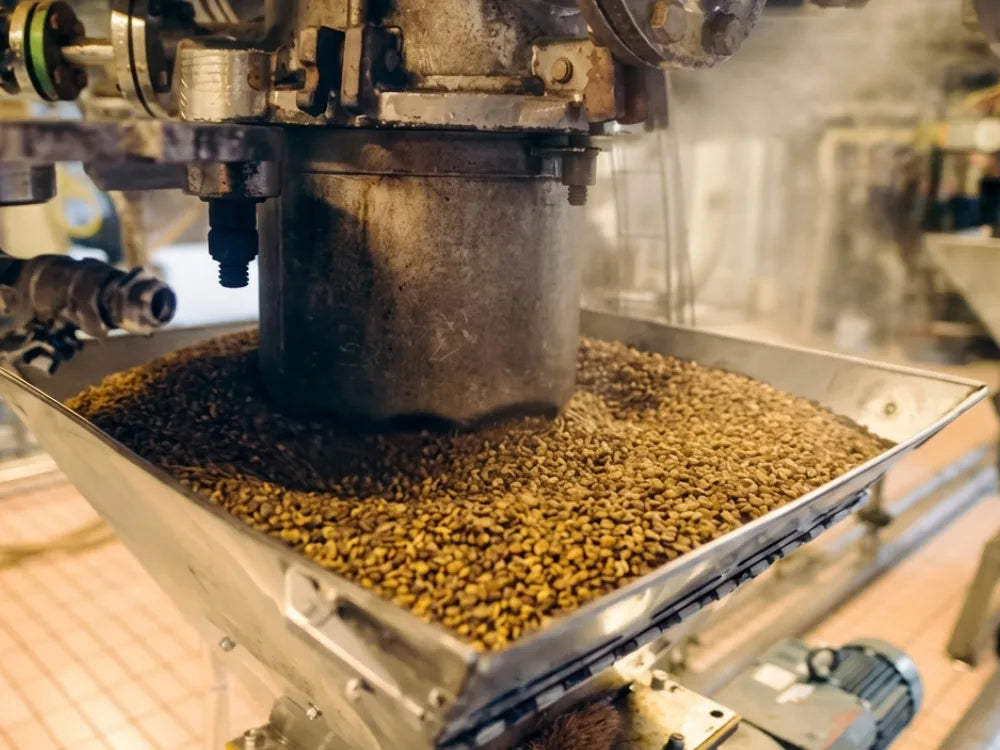 Eine Maschine zur Entkoffinierung des Kaffees mit der EA-Decaf-Methode