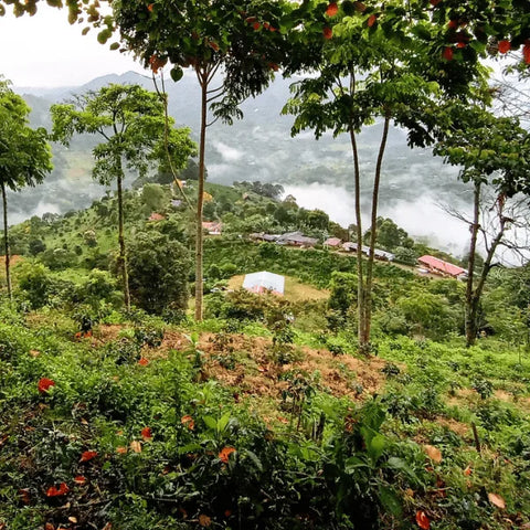 Hügelige Landschaft: Die Fincamigos Farm