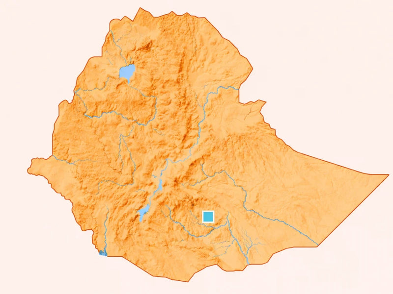 Reliefkarte von Äthiopien, Ortsmarke in der Region Guji